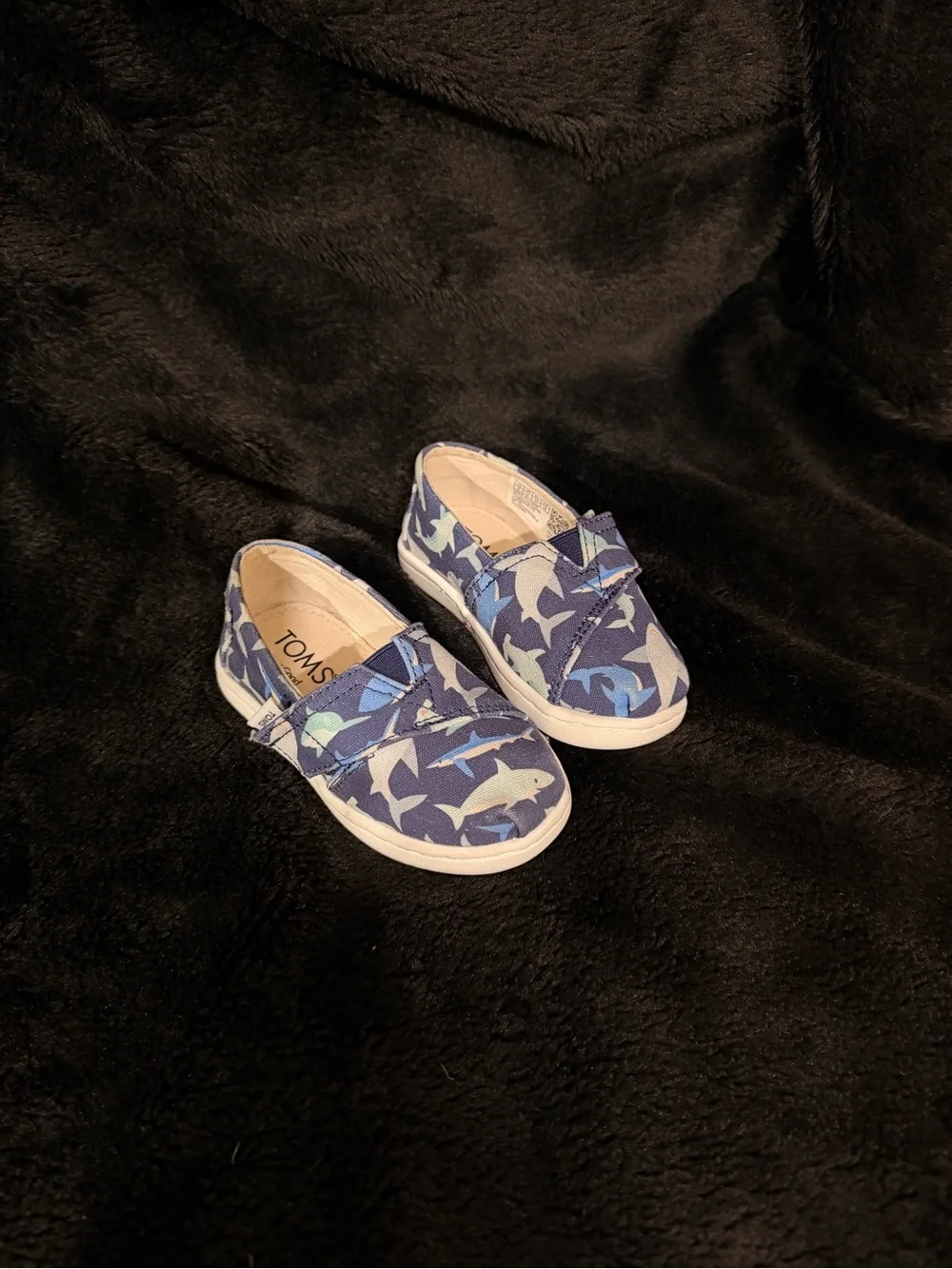 TOMS Kids Shark Print Shoes
